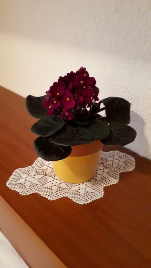 Apartman Stulic Макарська Екстер'єр фото